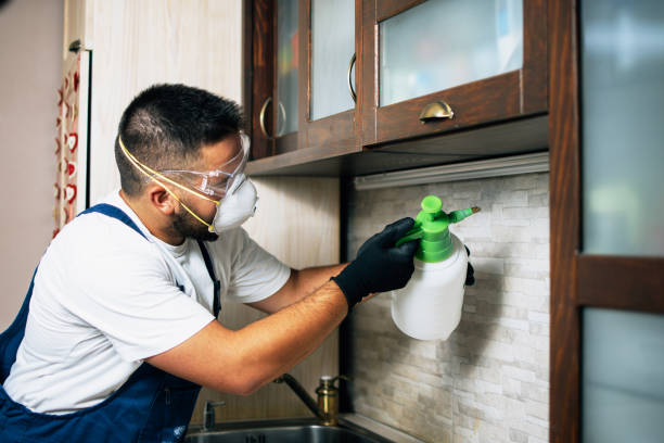 Best Flea Control Services  in Russell, GA